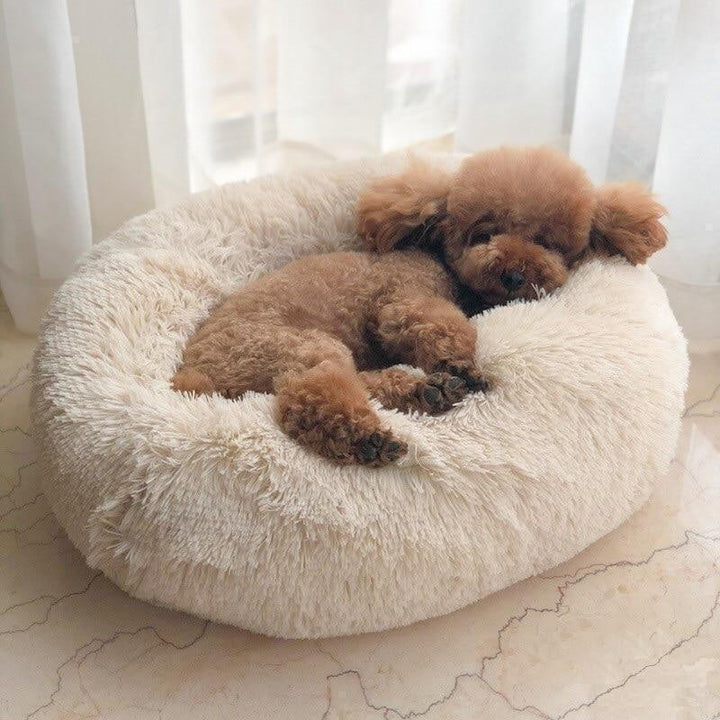 Skanto | Beroligende Hundeseng