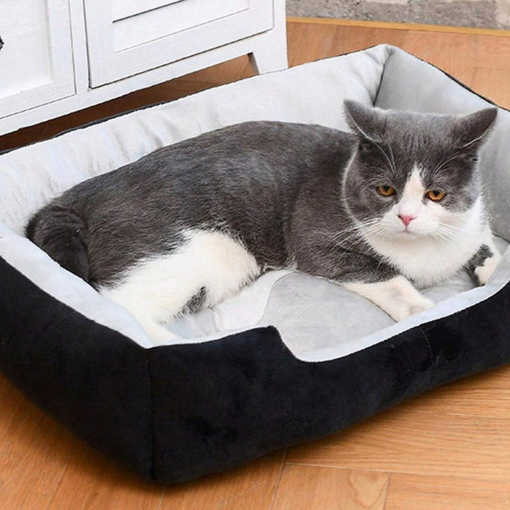 Skanto | Fluff Zone Katt- og Hundeseng