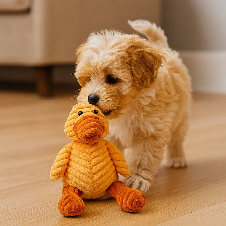 Skanto | Hundelek Plush Squeaky Chew Dyr