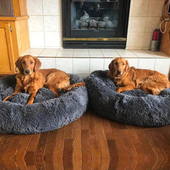 Skanto | Beroligende Hundeseng