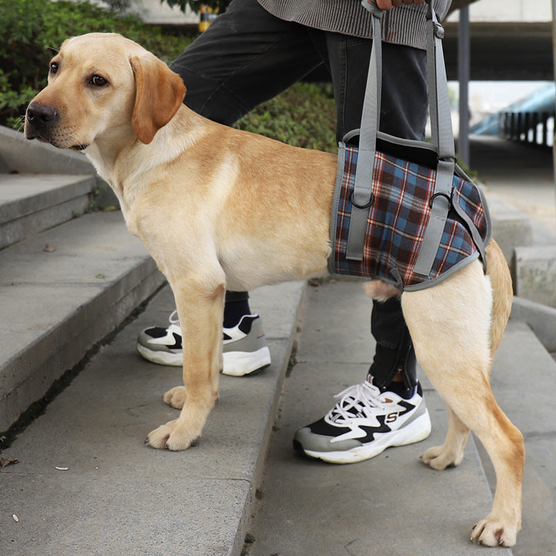 Skanto | Dog Lift Harness with Handle, Pet Recovery Sling