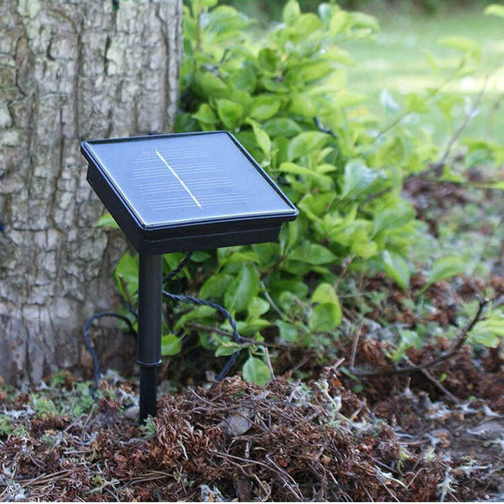 Skanto | Solenergi Utendørs Vanntett Støtsikker Rose Utendørs LED Lyslenker