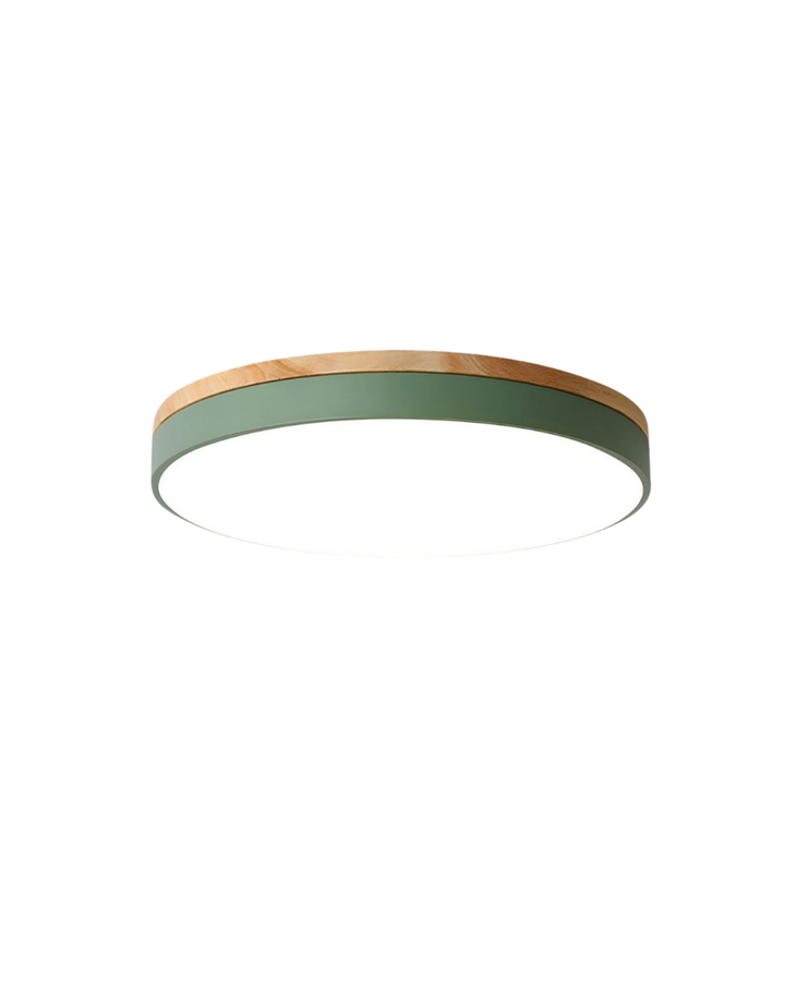 Skanto | Moderne Taklampe med Naturinspirert Form