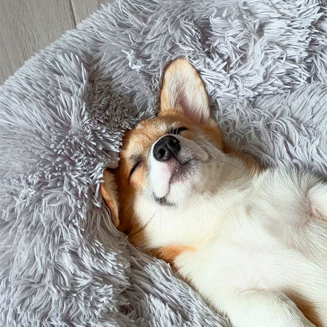 Skanto | Beroligende Hundeseng