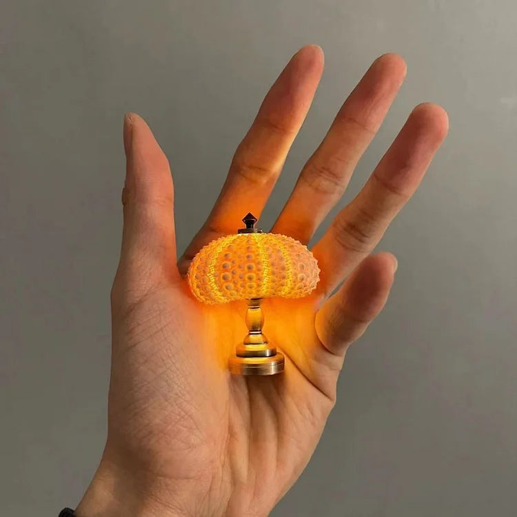 Skanto | LumiCraft – Unik DIY bordlampe med naturlig sjøskjell for en koselig dekor