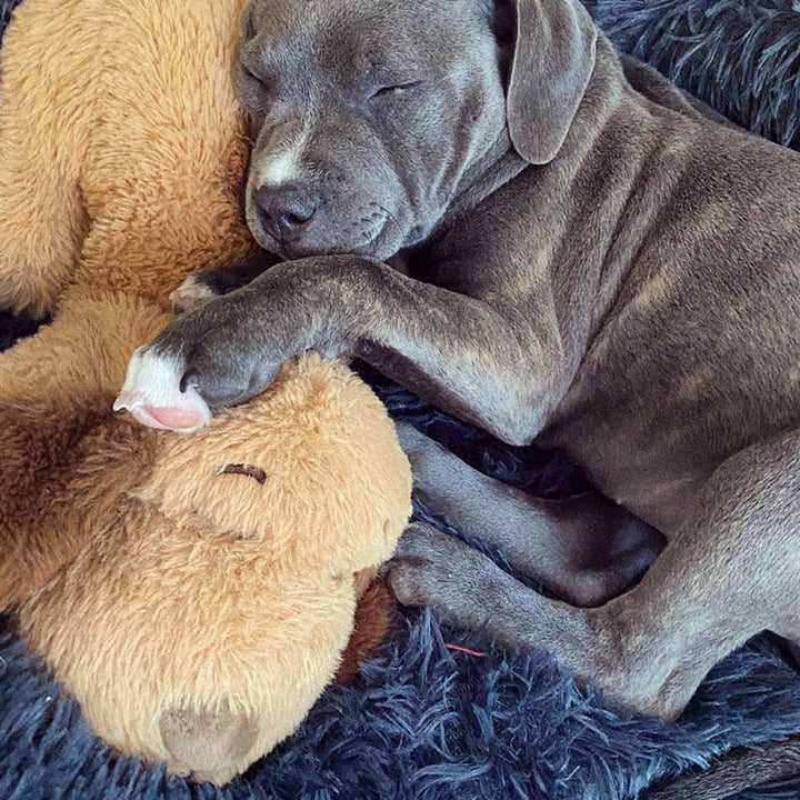 Skanto | Snuggle Puppy - Angsts- og ensomhetsdempende kosedyr