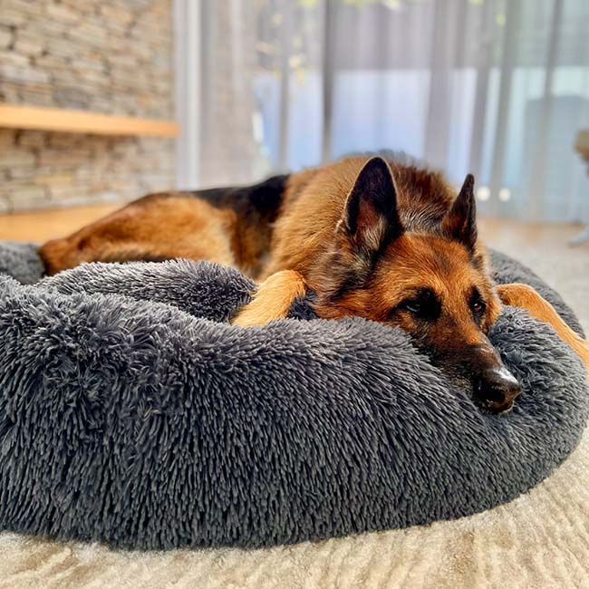 Skanto | Ortopedisk Plysj Donut Hundeseng