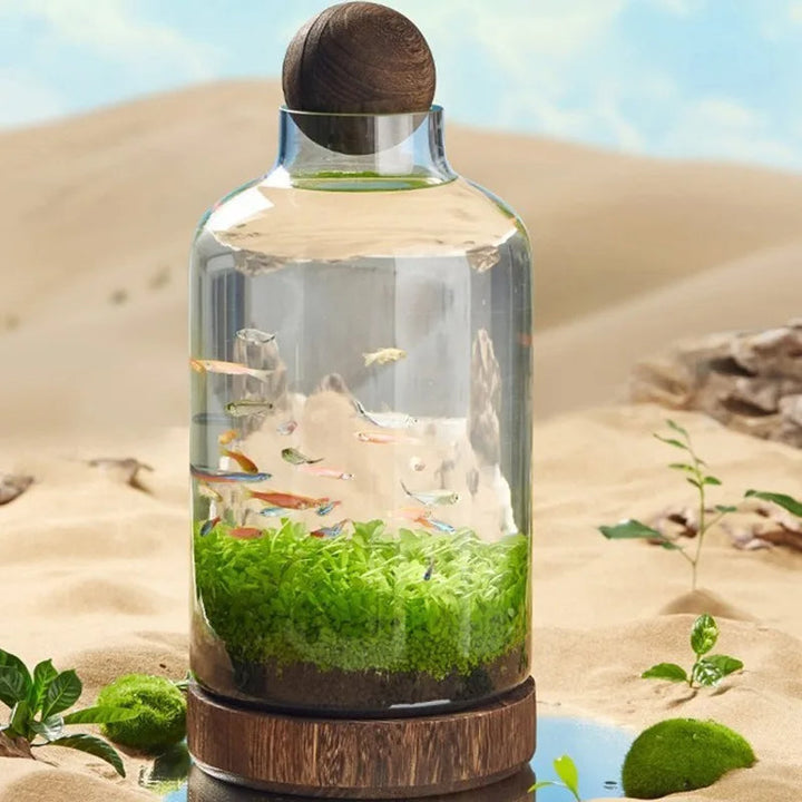 Microakvarium Kompakt Glass Økologisk Fisketank | Skanto