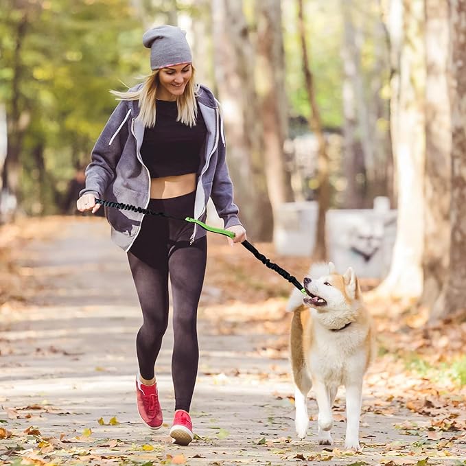 FlowLeash — Opplev myk kontroll og avslappede turer uten rykk! | Skanto