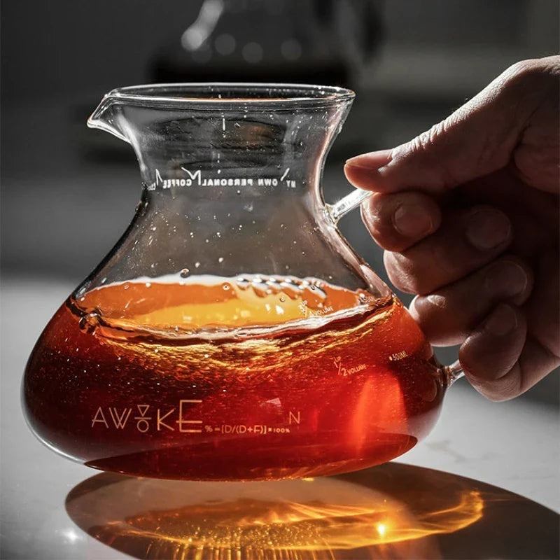 15oz Glass Pour Over Coffee Server Heat-Resistant Drip Brewing Carafe | Skanto