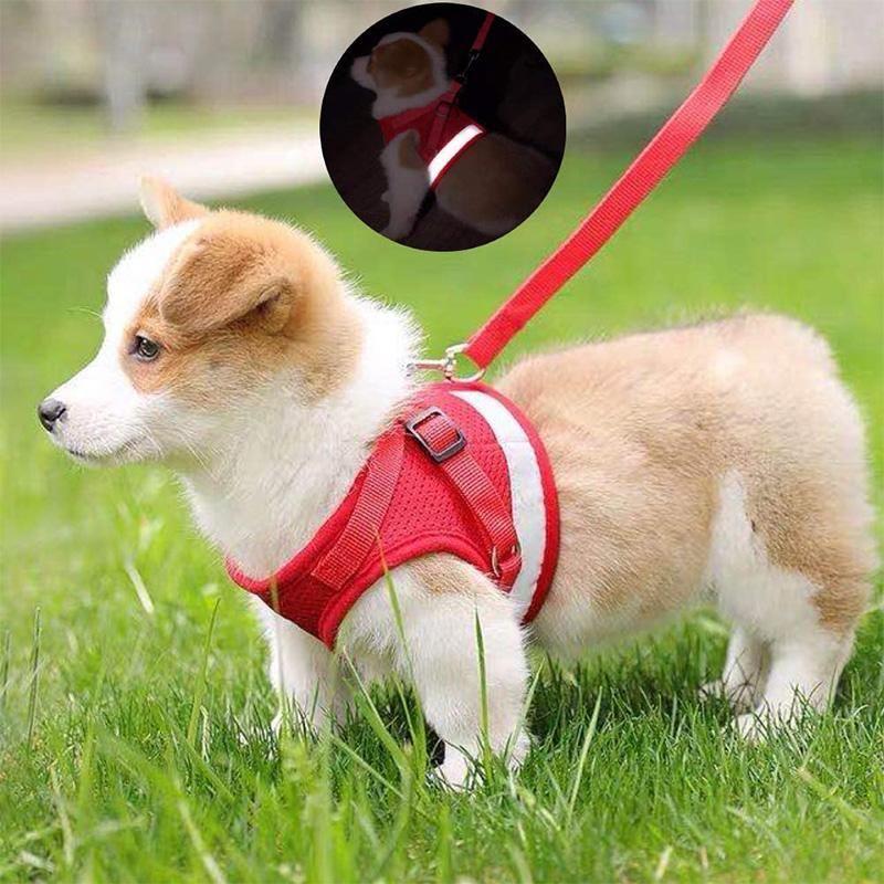 Skanto | Reflekterende Sikkerhets Hundesele og Båndsett Tilbud