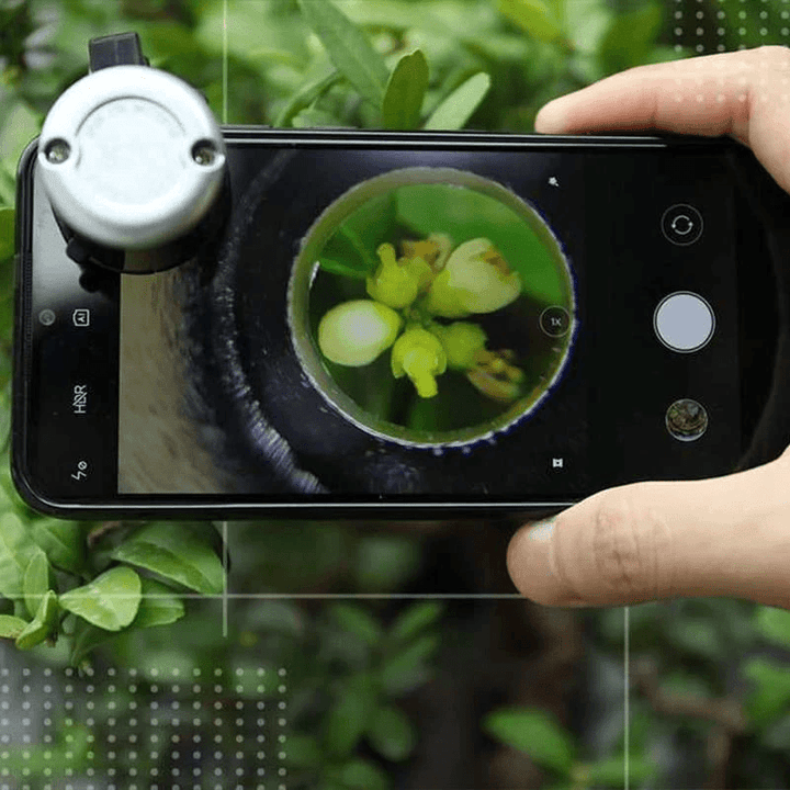 Skanto | LED Mobiltelefon Mikroskop
