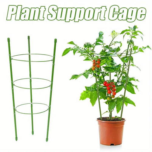 Skanto | Klatre ramme for planter – Solid støtte ring ramme for klatrende planter
