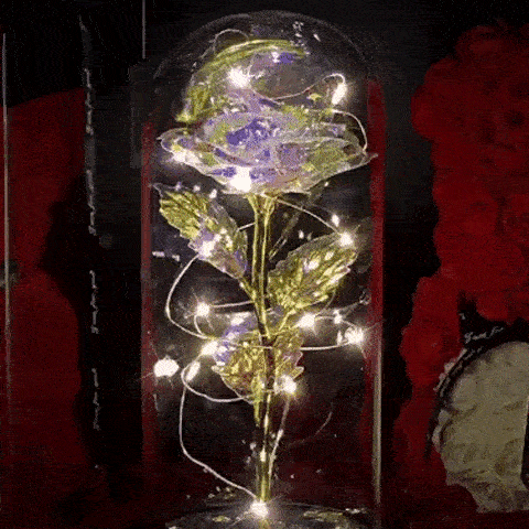 Rose i Glass Dome Display | Skanto