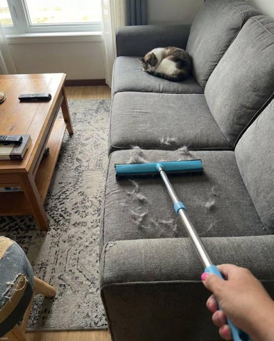Fjernbørste for dyrehår med teleskopisk håndtak | Skanto
