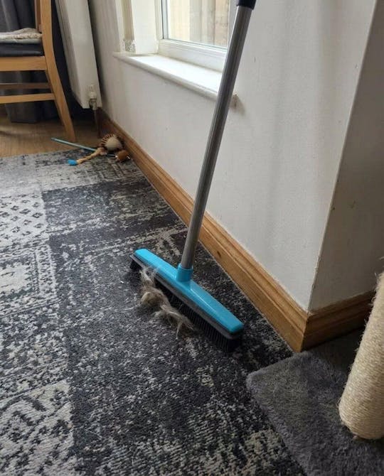 Fjernbørste for dyrehår med teleskopisk håndtak | Skanto