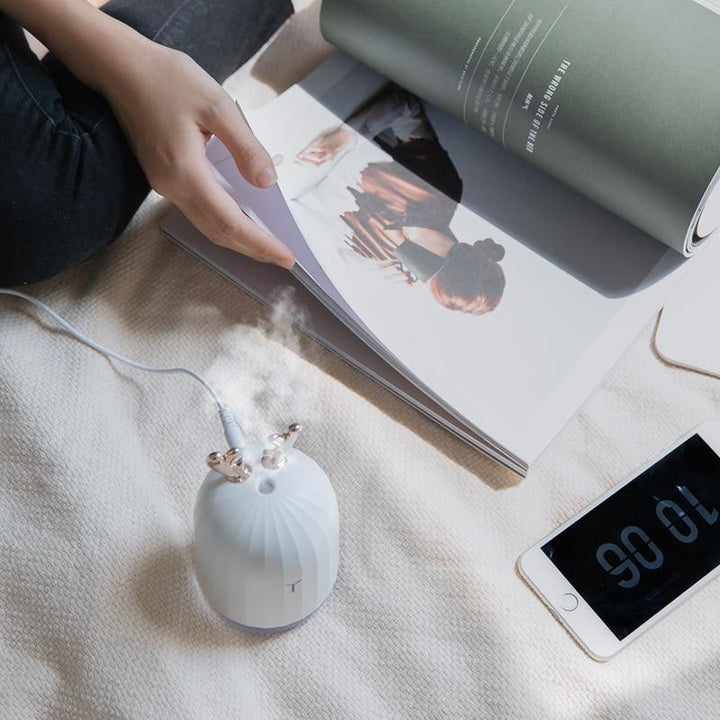 Aroma Essential Oil Diffuser | Skanto