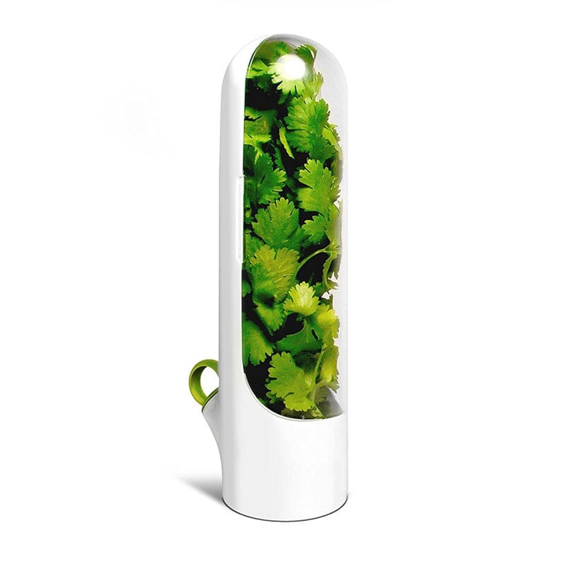 Skanto | Herb Fresh Holder