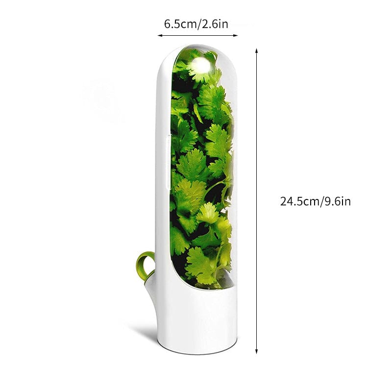 Skanto | Herb Fresh Holder