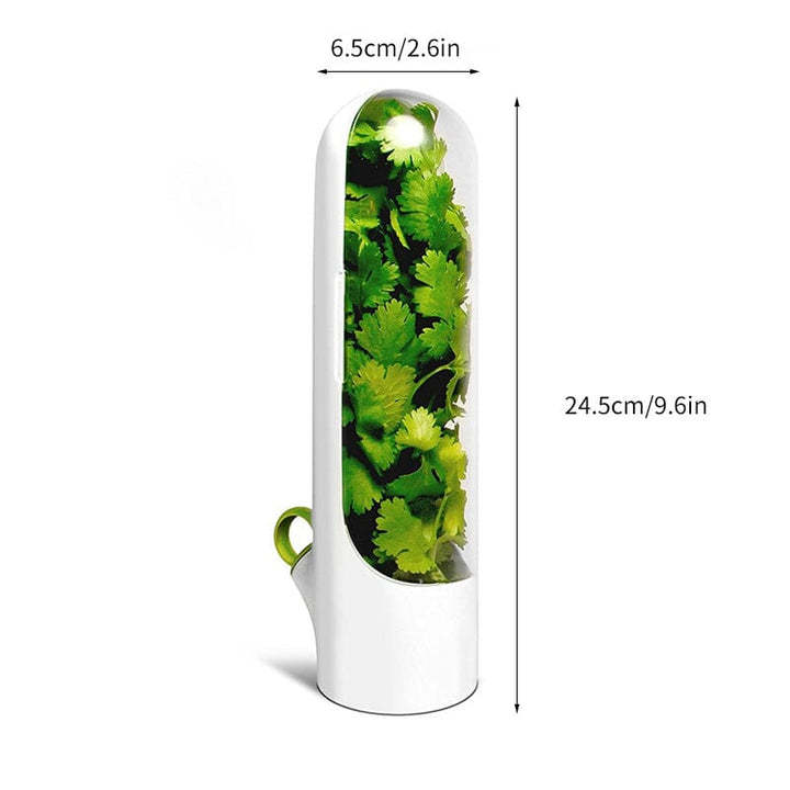 Skanto | Herb Fresh Holder