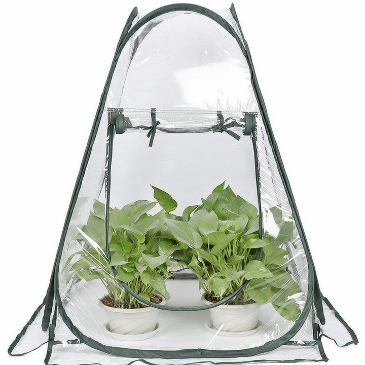 Skanto | Kompakt Plantebeskyttelsestelt for Hageplanter – Transparent Drivhus