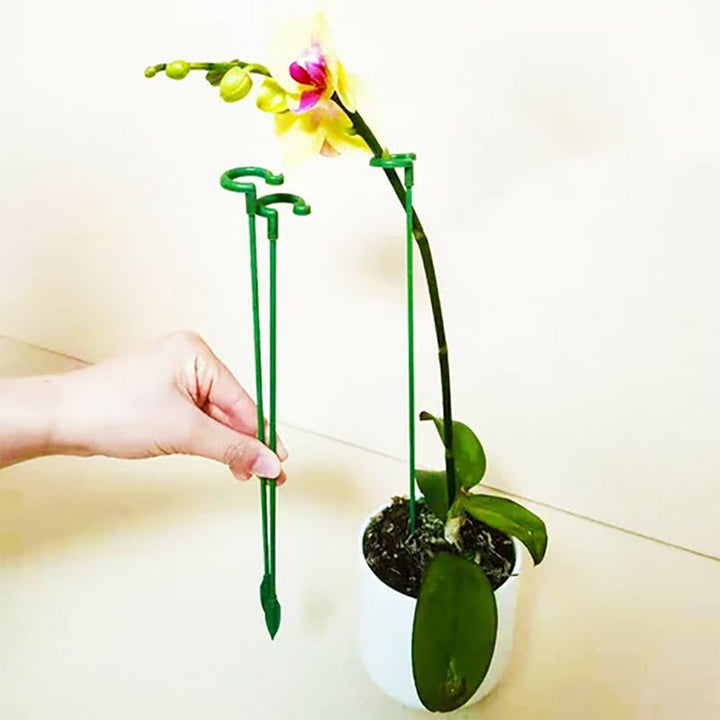 Skanto | Plante støtte