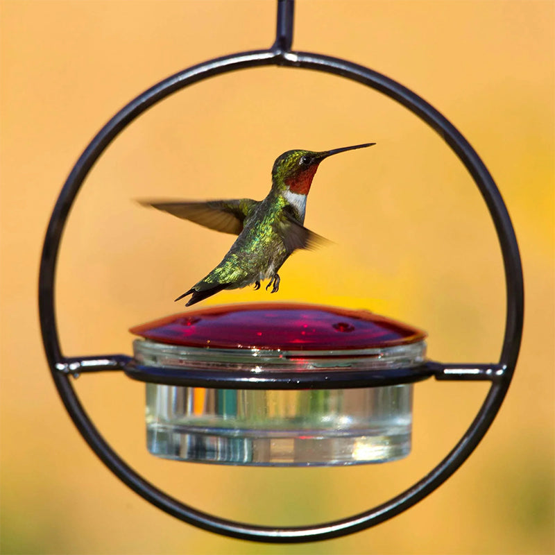 Skanto | Enkel Kolibri Vannedispenser Laget av Metall