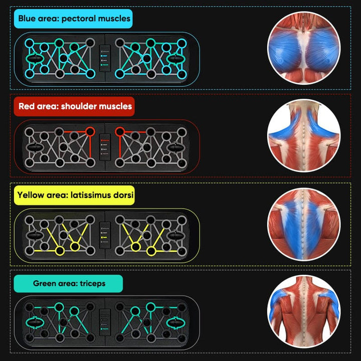 Skanto | Sammenleggbar Push-Up Multi-Muskel Trener