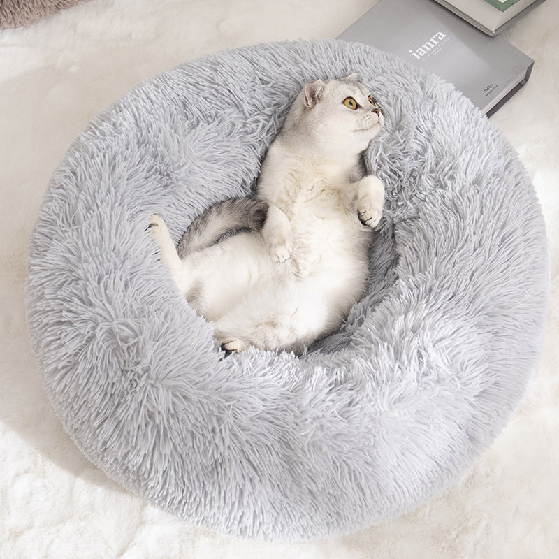 Koselig Sky Katt Seng Skanto