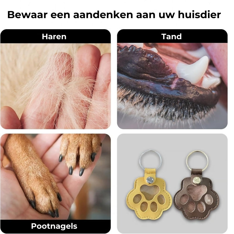 PawMemorie Nøkkelring – Minnependant med poteavtrykk og innvendig rom | Skanto
