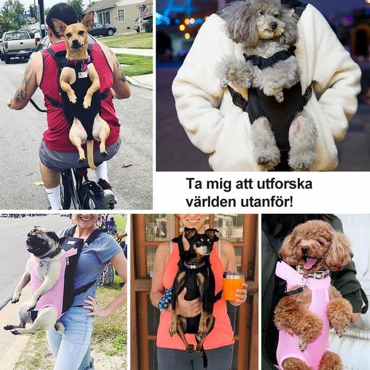 Skanto | Kattesekk Front
