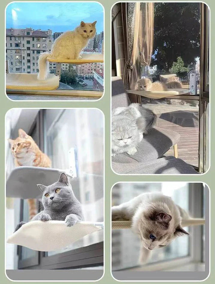 Vegghengt kattekrok - SkyRest Skanto