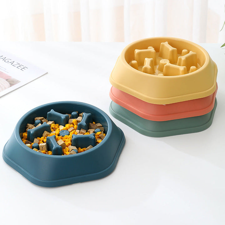 Slow Eating Feeding Station for Dogs Skanto