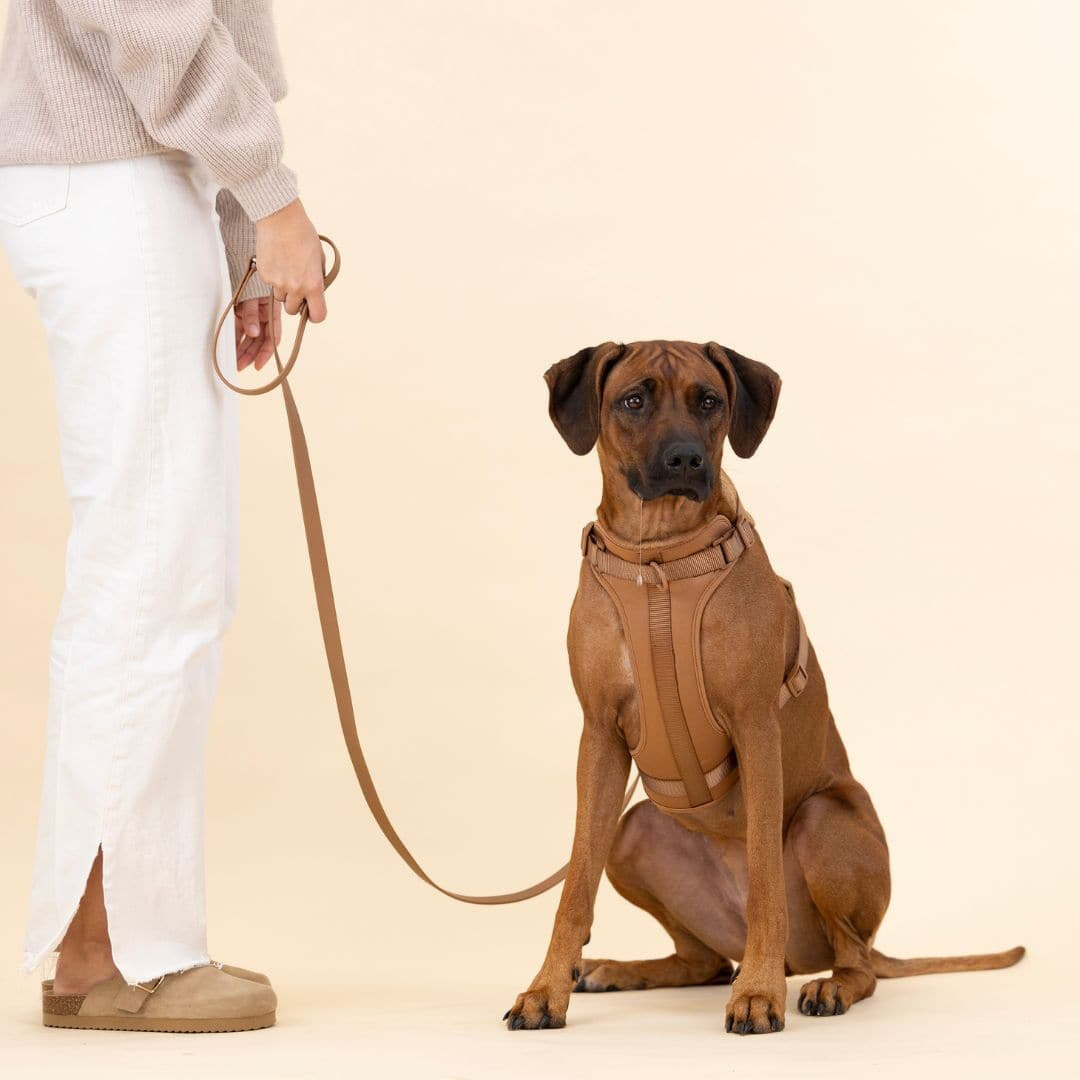Skanto | ComfyPaws Hundesele Gåsett med Bånd og Bæsjeposeholder