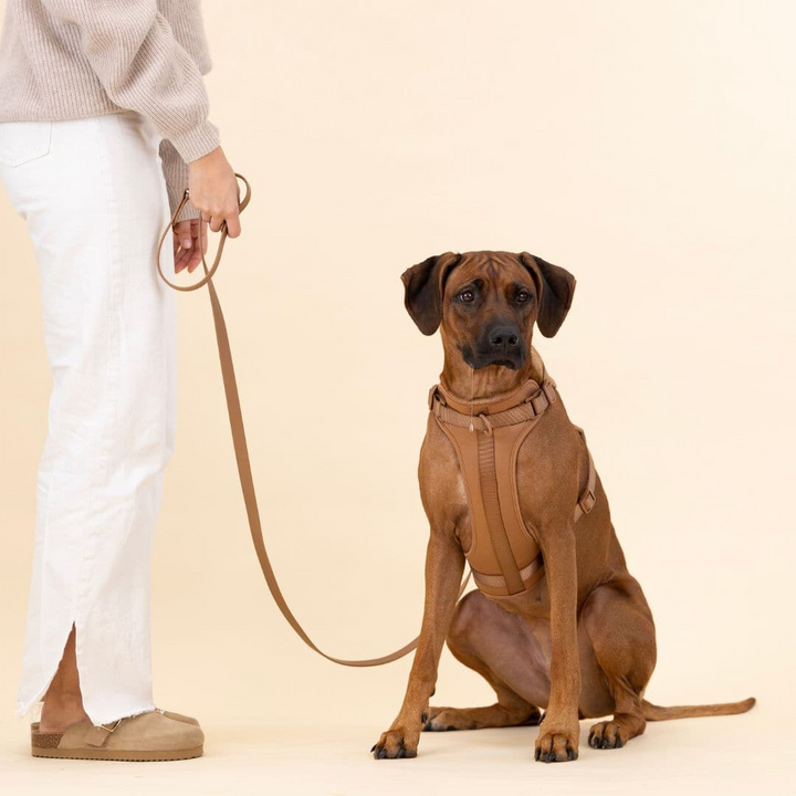 Skanto | ComfyPaws Hundesele Gåsett med Bånd og Bæsjeposeholder