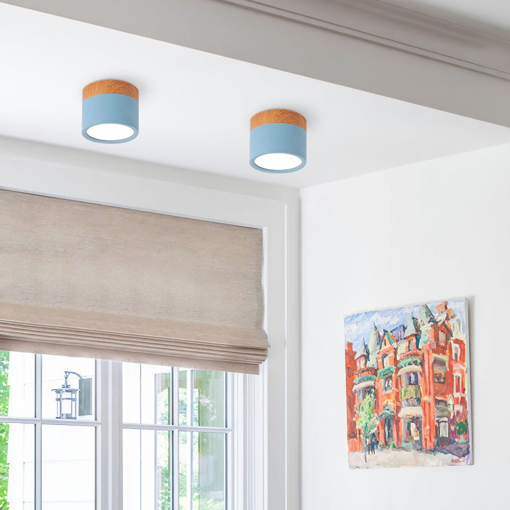 Skanto | LED Taklampe Moderne Flush Mount Sylinder
