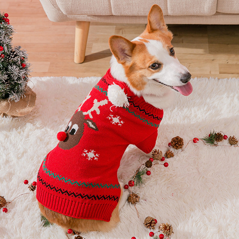Varm julekleding for kjæledyr | Skanto