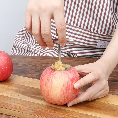 Skanto | Rustfritt stål frukt kjerne separator