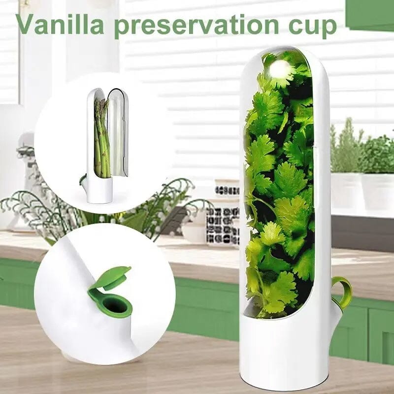 Skanto | Herb Fresh Holder