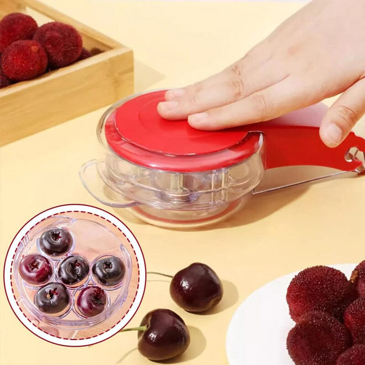 Cherry Pitter Tool | Skanto