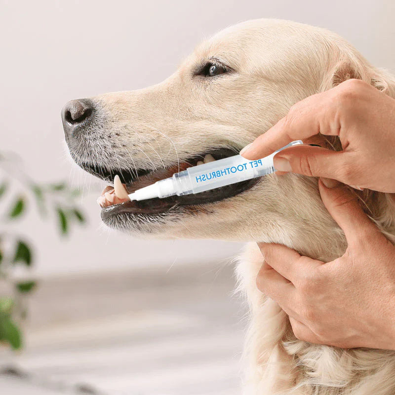 ChewClean Kjæledyr Tannbørste Pinne Skanto