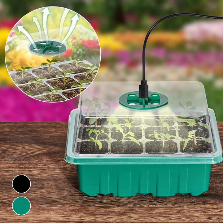 Saatsstarter-skåler med plantebelysning, 5 sett | Skanto