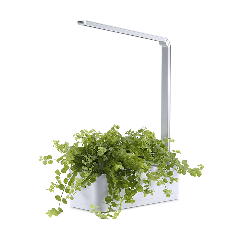Skanto | Hydroponic systems with LED plant growth light, smart watering, water dry reminder and timer switch (with US standard plug, 110v~220v)