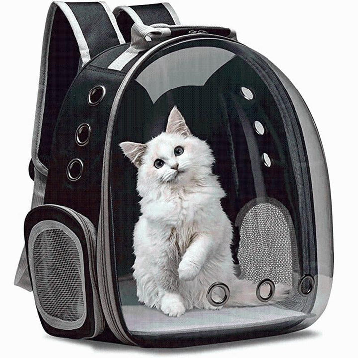 Cat Pustende Ryggsekk | Skanto