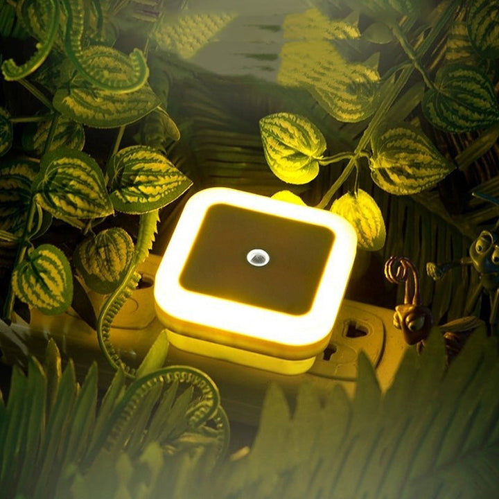 Lysaktivert sensor LED nattlys | Skanto