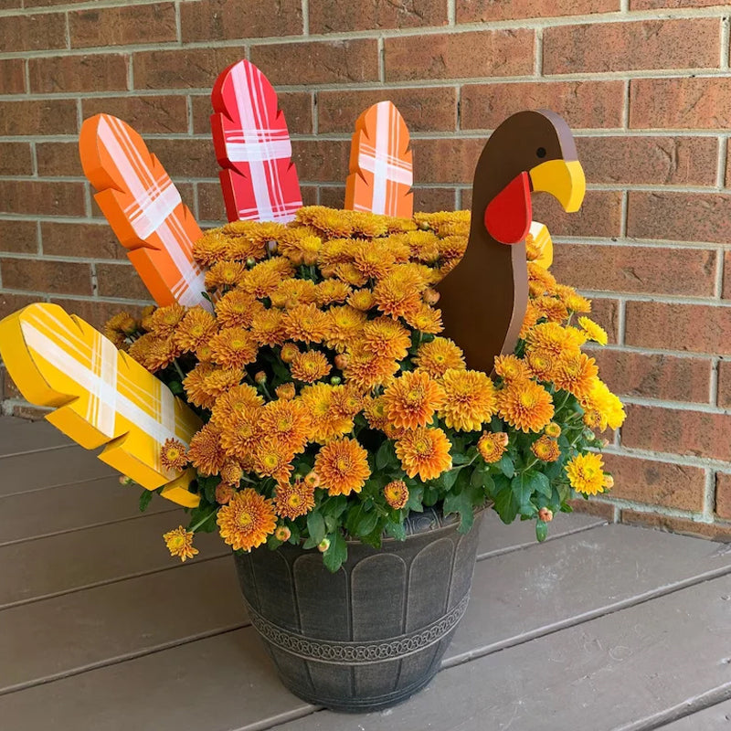 Skanto | Thanksgiving Kalkun Pynting