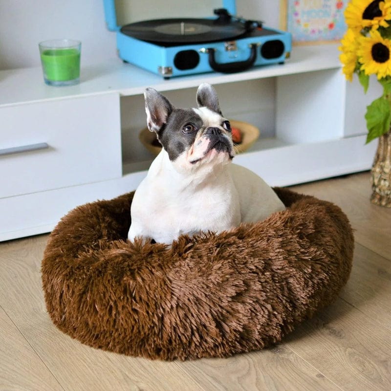 Skanto | Fluffy Beroligende Kattedyne for Hundar og Kattar