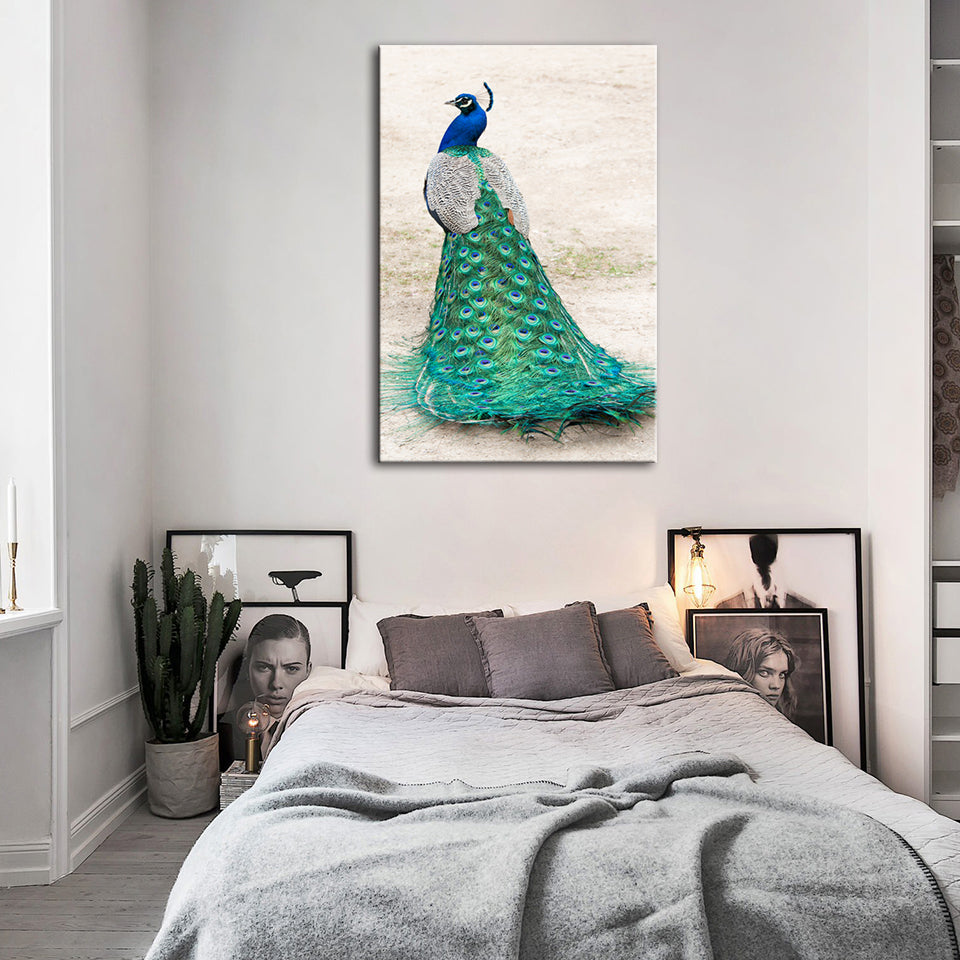 Elegant påfugl i skjørt – lerretbilde