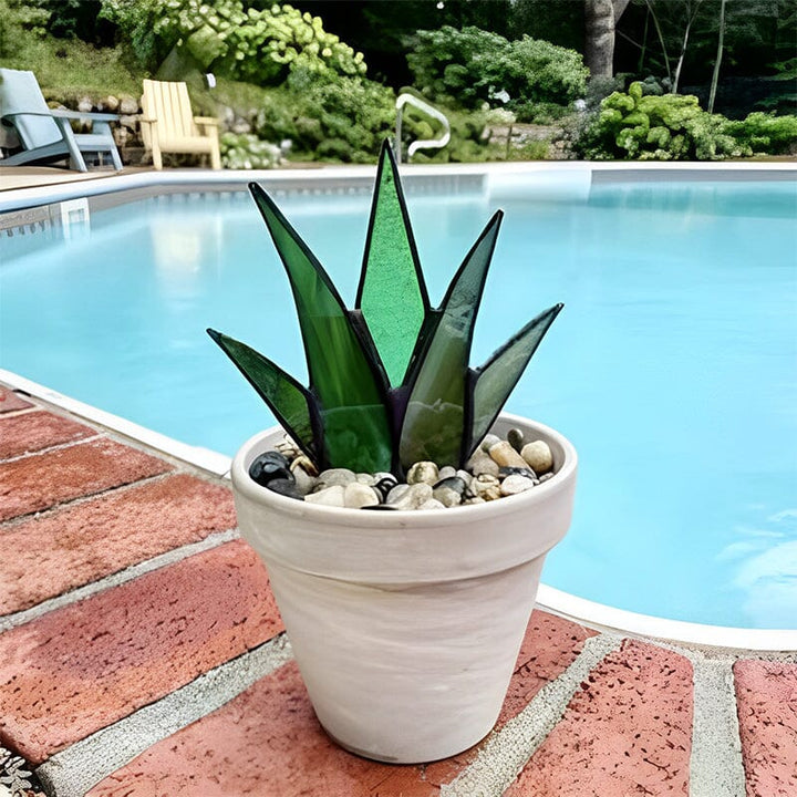 Skanto | Mini Pottede Planter Dekorasjon Hage Ornamenter