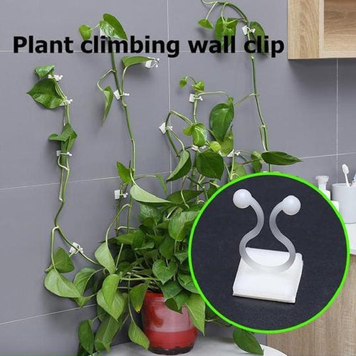 Veggholder for klatreplanter (30 deler) | Skanto